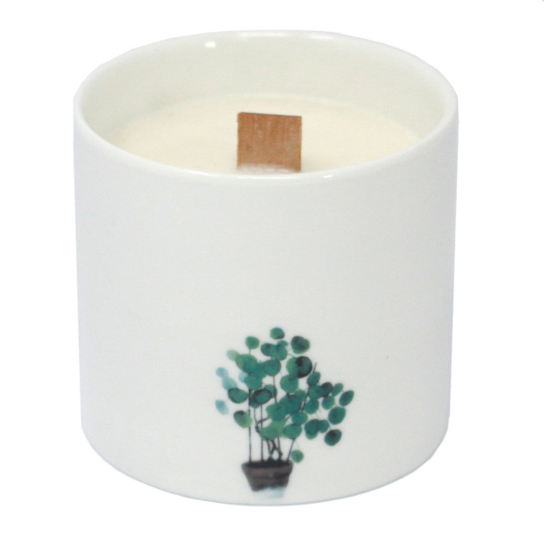 Botanical Wooden Wick Soy Candles - Marsh Viola - Set of 3