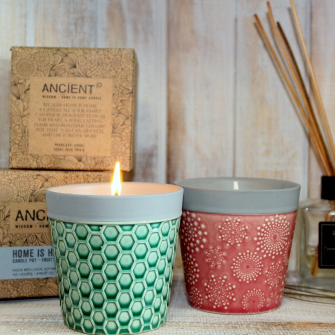 Home is Home - Reusable Soy Plant Pot Candle - Winter Garden