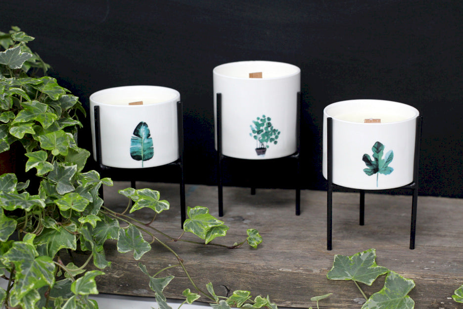 Botanical Wooden Wick Soy Candles - Marsh Viola - Set of 3