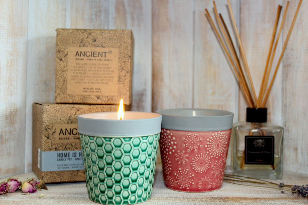 Home is Home - Reusable Soy Plant Pot Candle - Moonlight