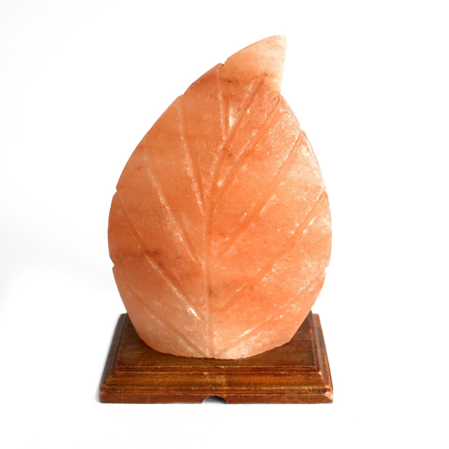 Himalayan Salt Lamp - Fern Leaf Design - 21.5cm