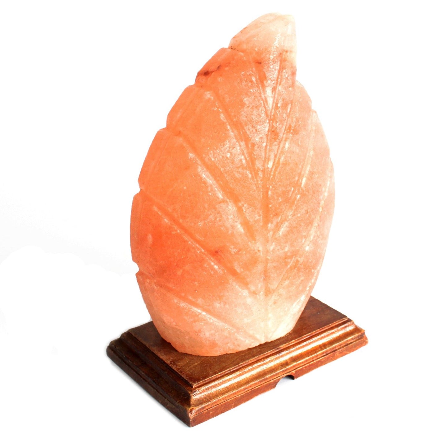 Himalayan Salt Lamp - Fern Leaf Design - 21.5cm