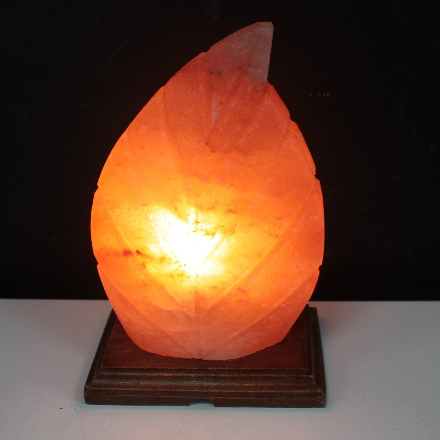 Himalayan Salt Lamp - Fern Leaf Design - 21.5cm