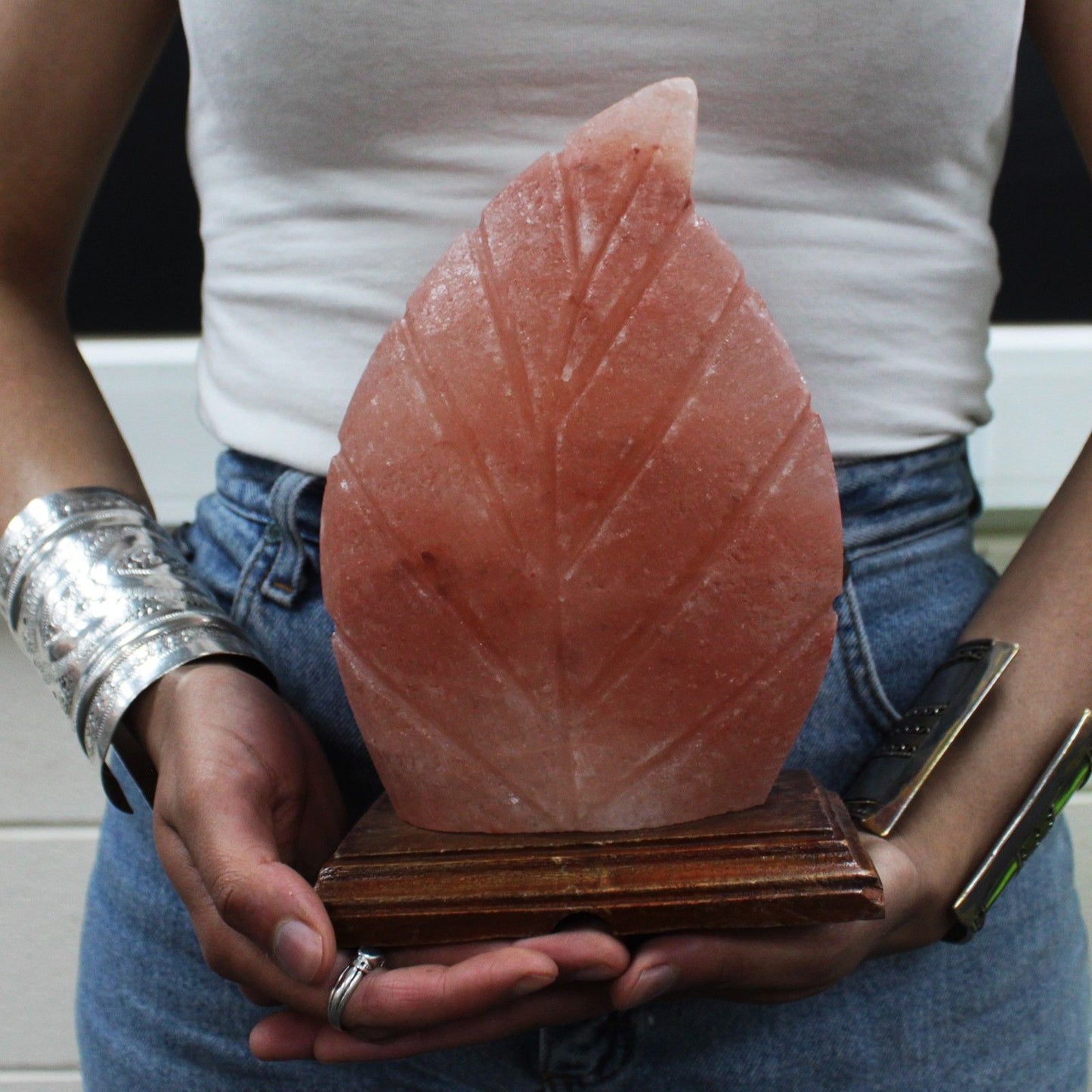 Himalayan Salt Lamp - Fern Leaf Design - 21.5cm
