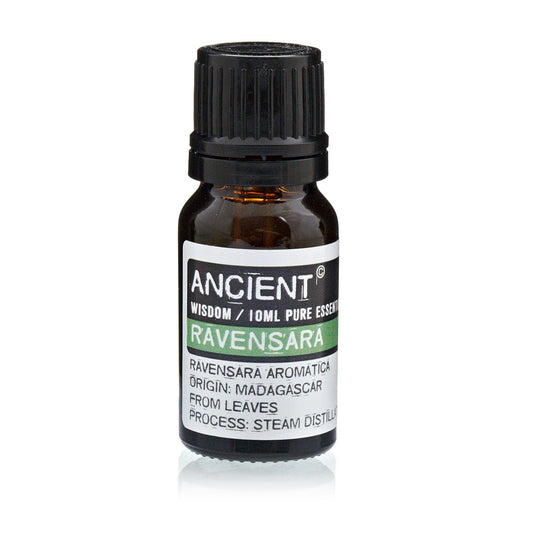 Essential Oil - Ravensara - 10ml Bottle
