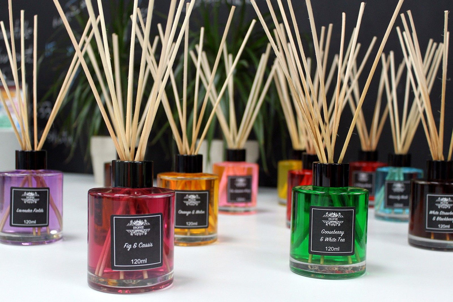 AW Home - Reed Diffuser - 120ml - Vanilla Plantation
